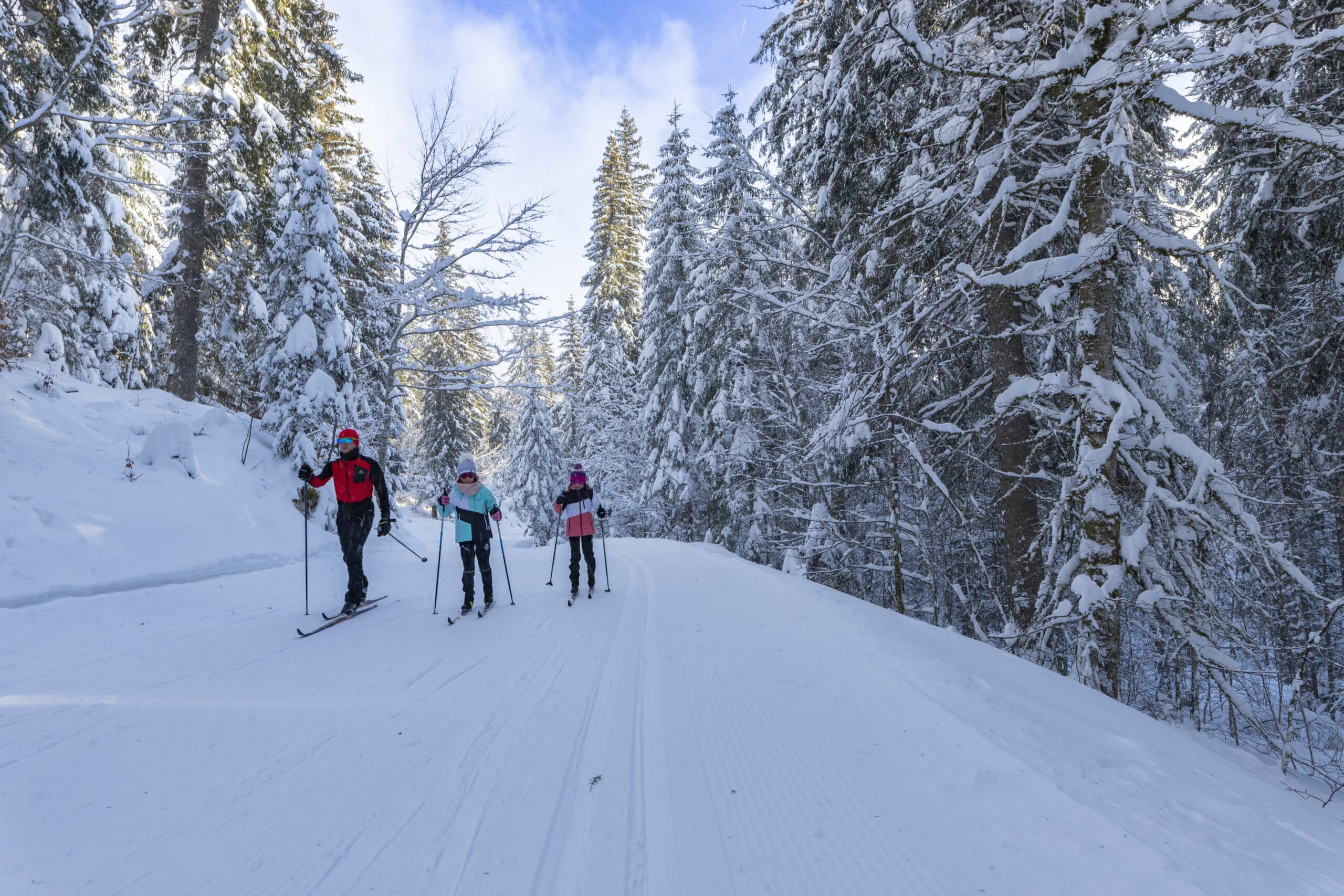 Ski de fond