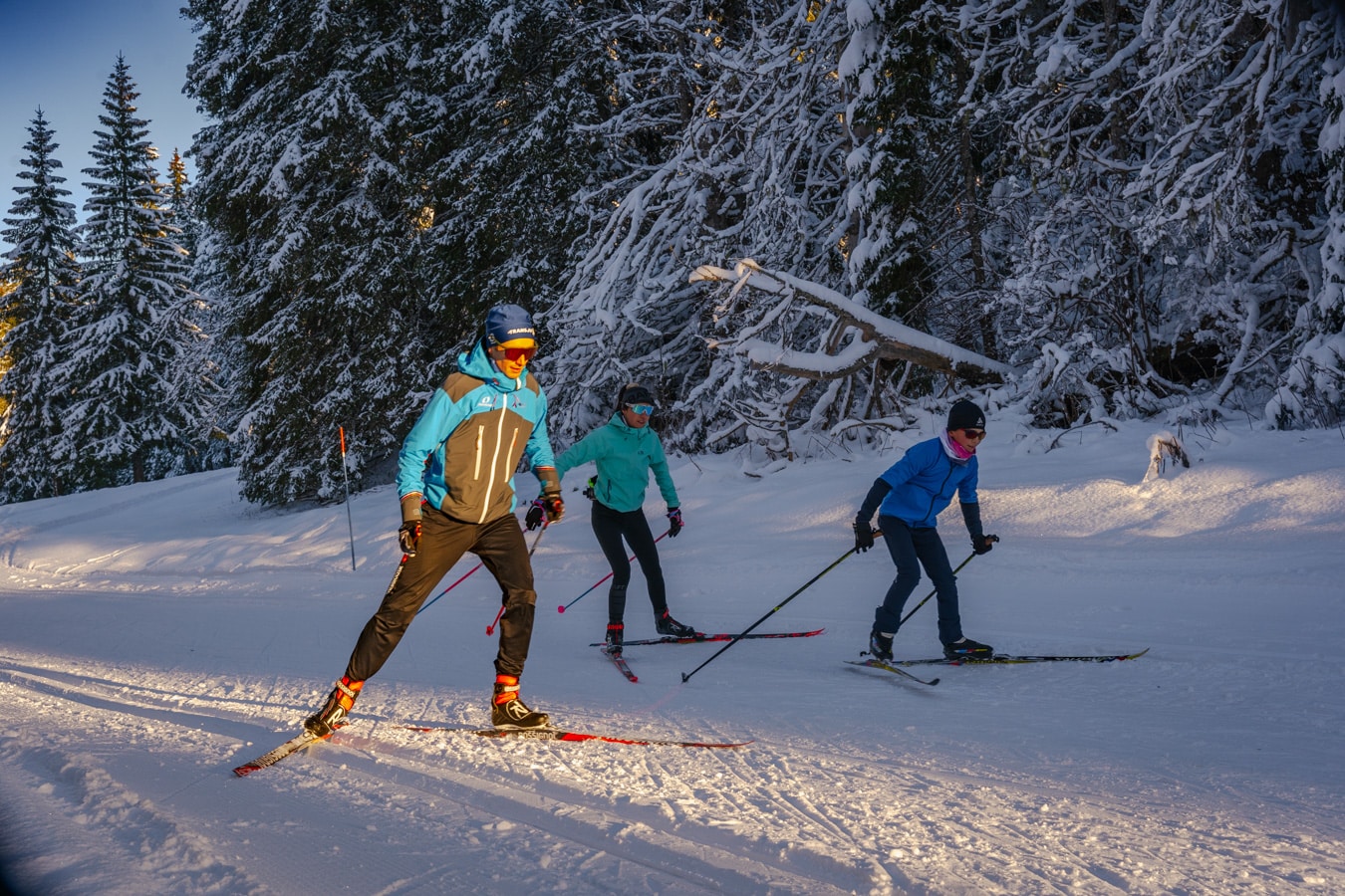 Cross-country skiing in the Jura - Les Rousses resort